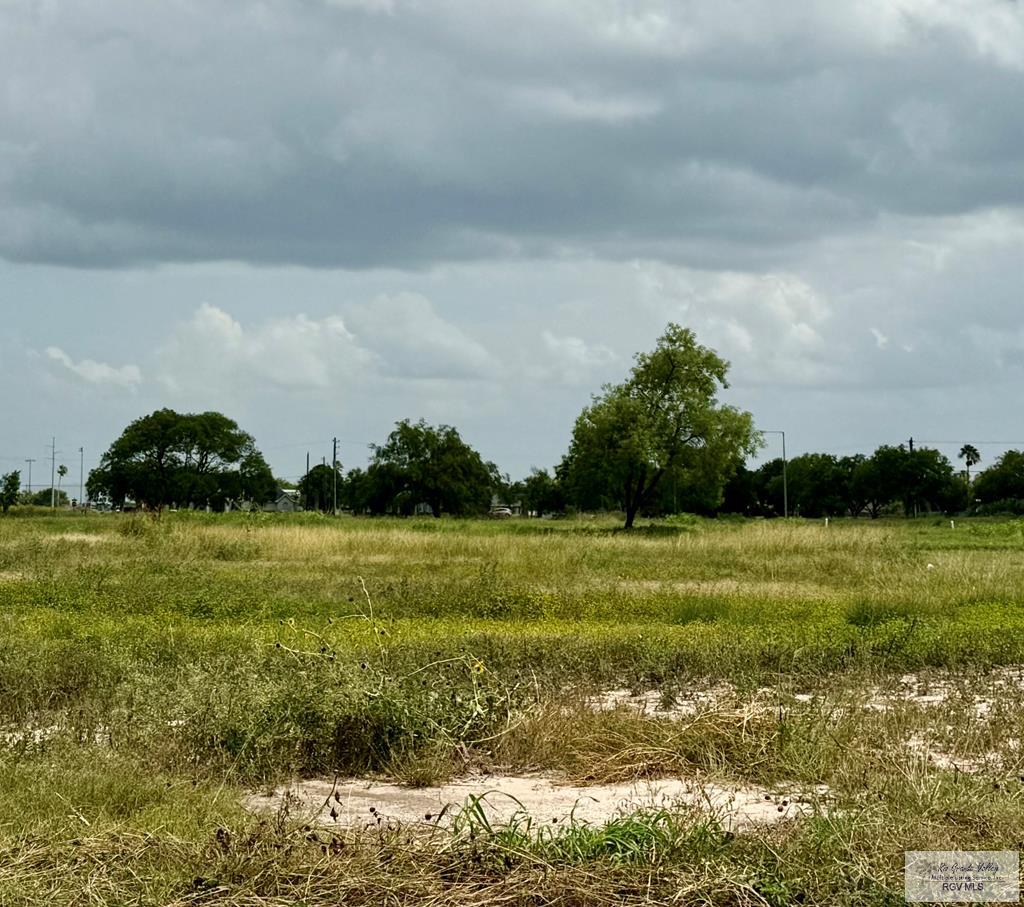 2517 Haverford Blvd, HARLINGEN, Texas image 1