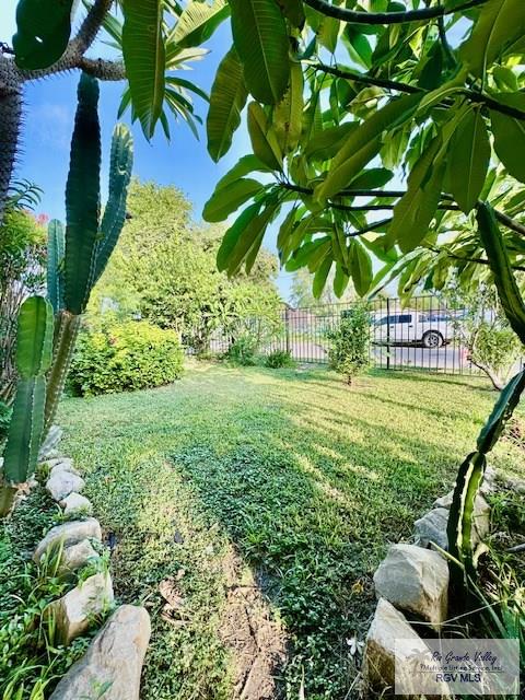 2413 Eastern Blvd, BROWNSVILLE, Texas image 3