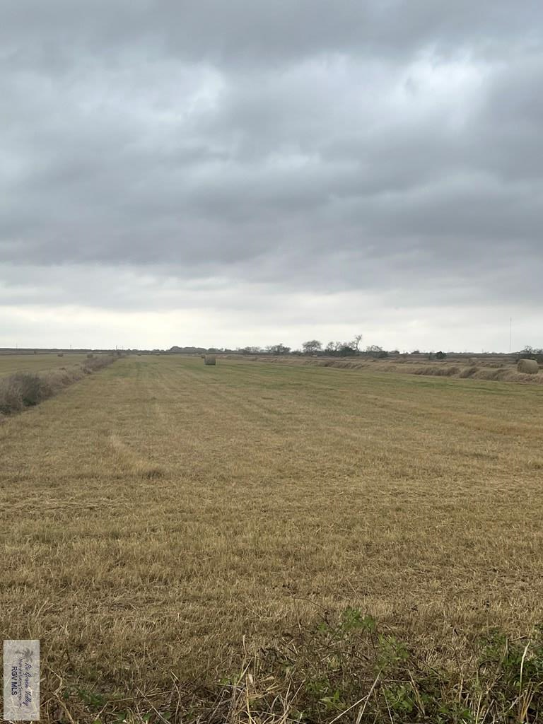 20 Acres Nelson Rd, RIO HONDO, Texas image 8