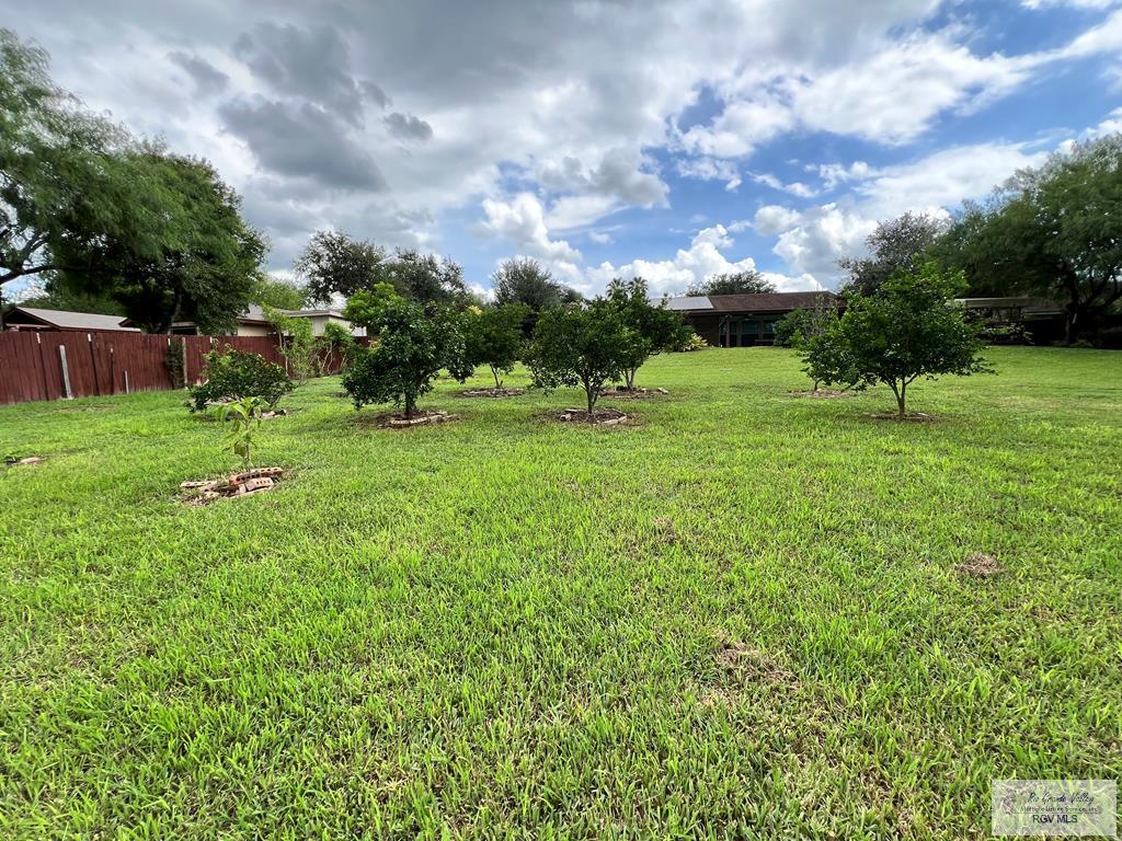 206 E Resaca Dr, LOS FRESNOS, Texas image 32