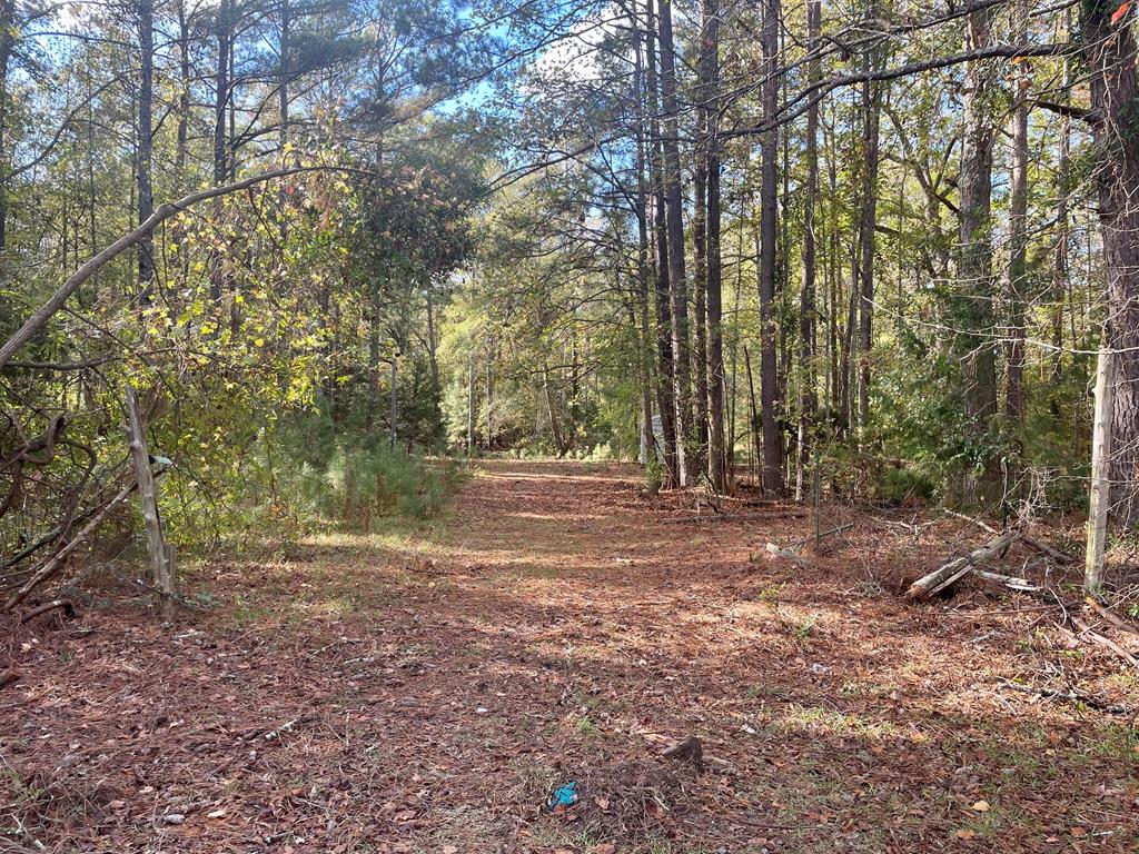 Greenwood, South Carolina 29646, United States, 3 Bedrooms Bedrooms, ,2 BathroomsBathrooms,Residential,Contingent,32490