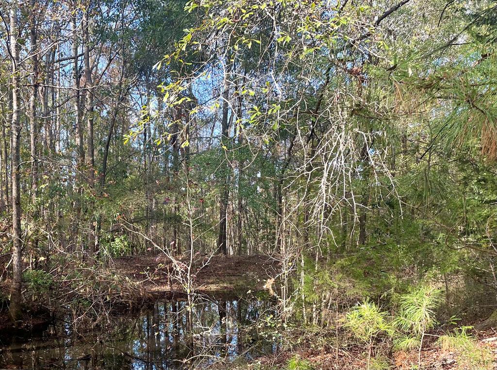 Greenwood, South Carolina 29646, United States, 3 Bedrooms Bedrooms, ,2 BathroomsBathrooms,Residential,Contingent,32490