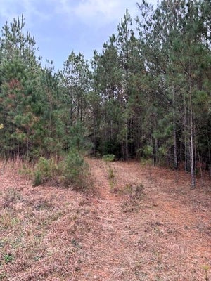 458 US HIGHWAY 378 E, EDGEFIELD, SC 29824 - Image 85c3a9abfb34cf96282430fbf5656eb2/4290216666