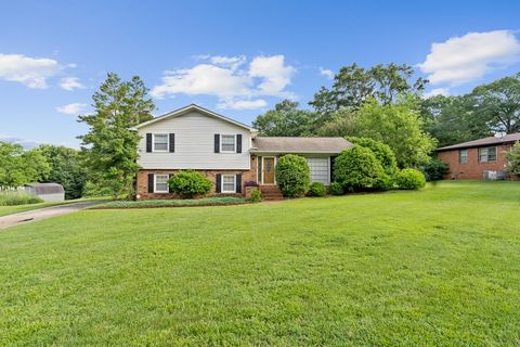 Single Family Residence in Easley SC 3014 Old Easley Bridge Rd.jpg