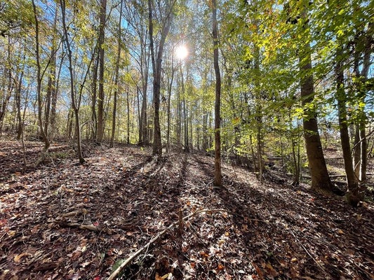 14 AUDUBON RD # 16, WARE SHOALS, SC 29692 - Image bea10be9cbb1d147f90c8f024fd94f38/3553989289