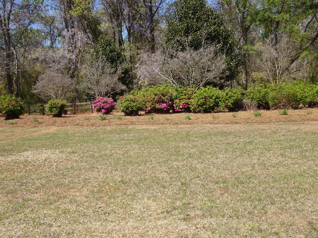 Ninety Six, South Carolina 29666, United States, ,Land,Active,73595