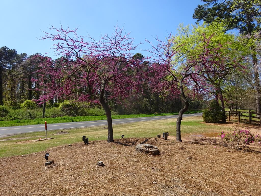 Ninety Six, South Carolina 29666, United States, ,Land,Active,73595