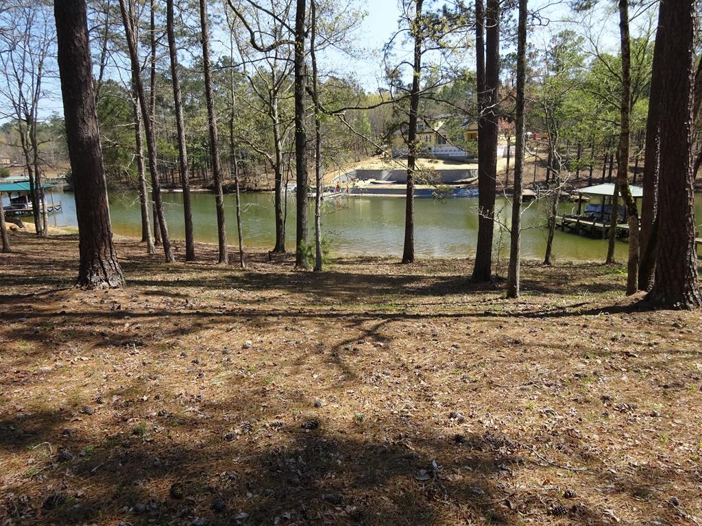 Ninety Six, South Carolina 29666, United States, ,Land,Active,73595