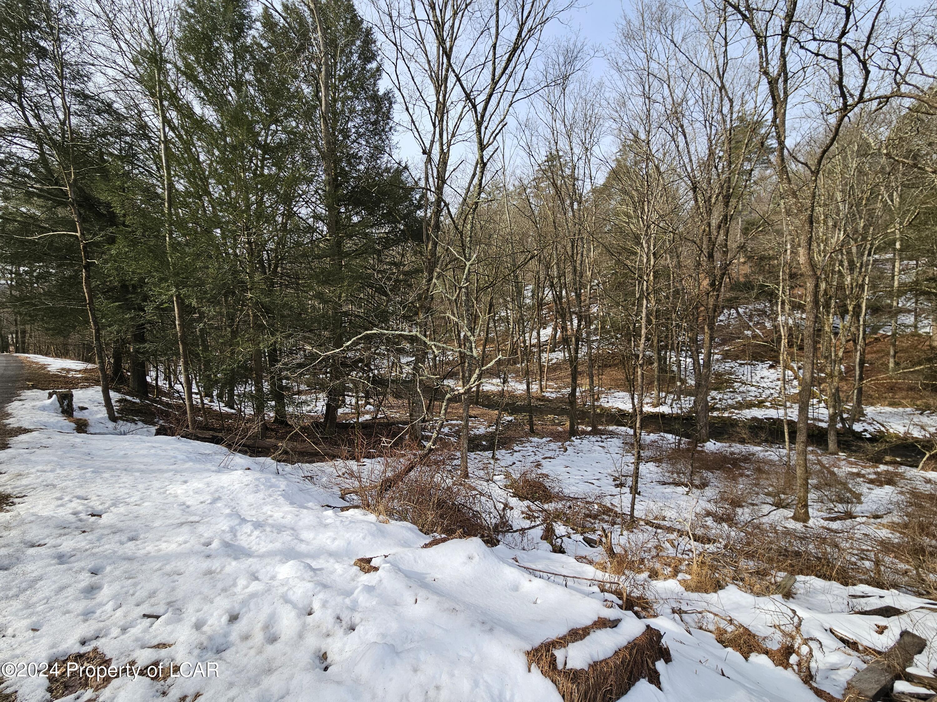 Krushka Road, Shickshinny, Pennsylvania image 6