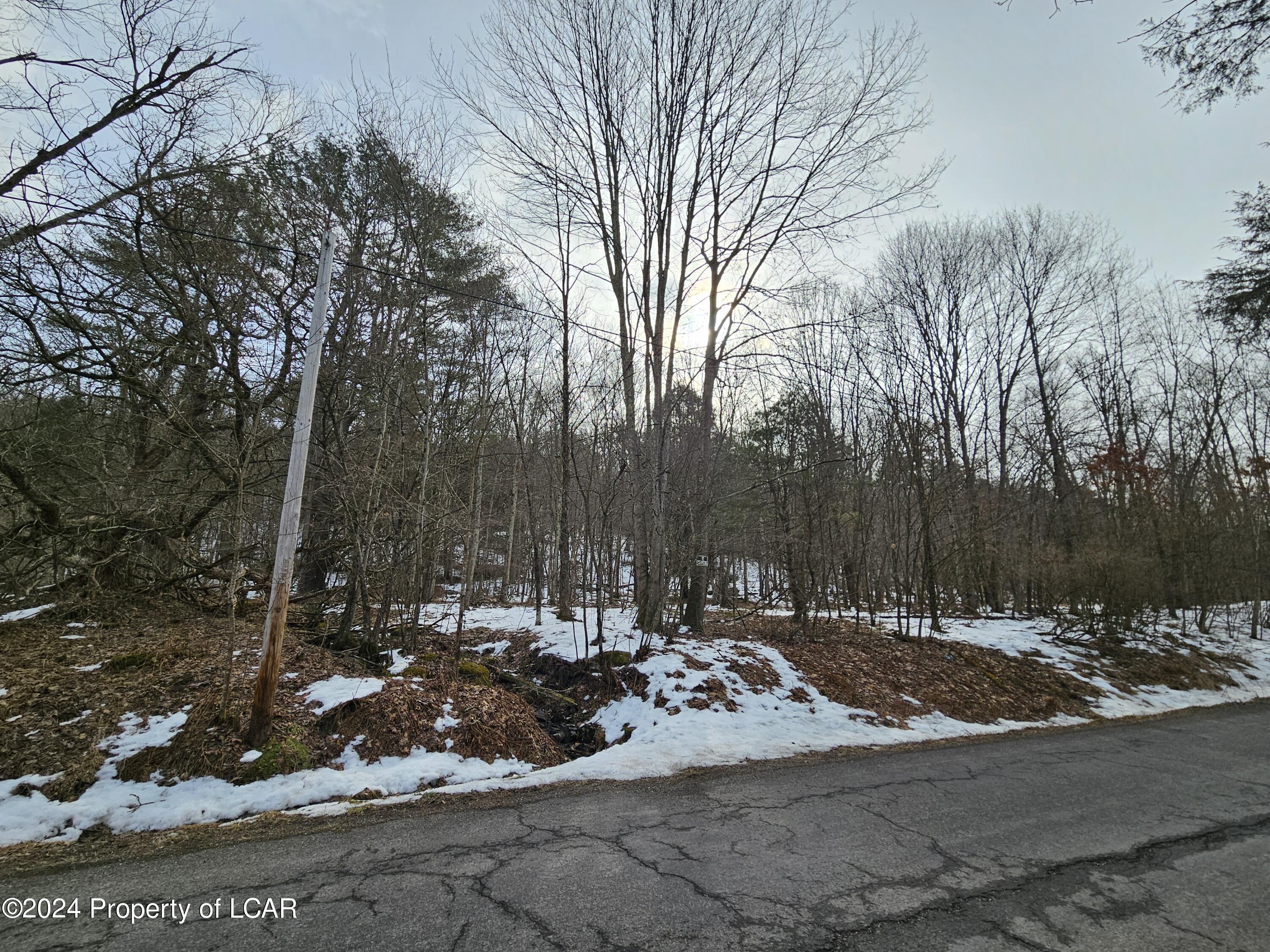 Krushka Road, Shickshinny, Pennsylvania image 4