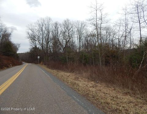 Vacant Land For Sale - Pond Hill Mountain Road<br/> Luzerne County, Conyngham, PA 18219