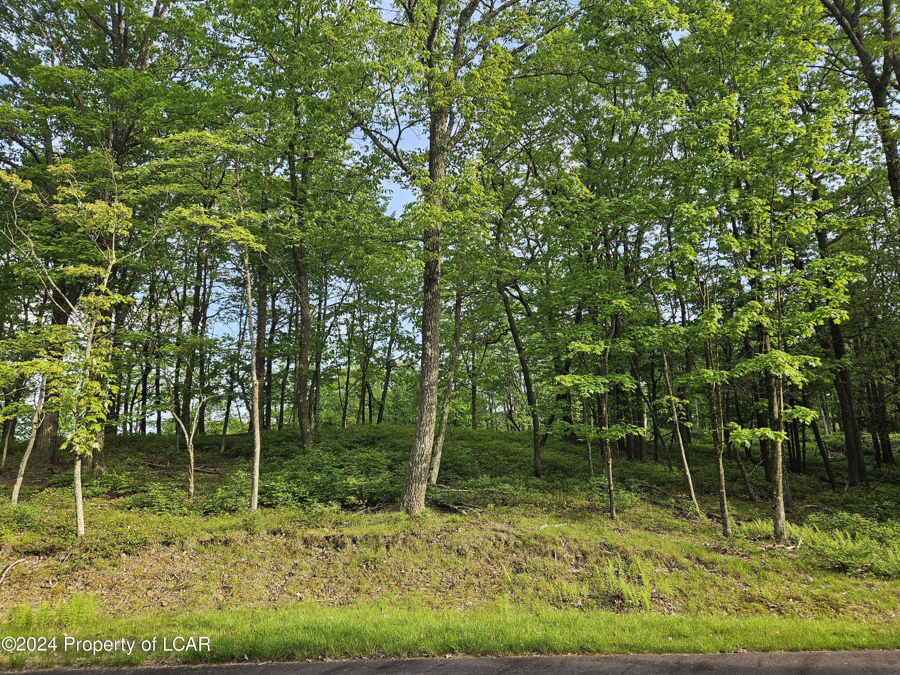 Timothy Drive, East Union Township, Pennsylvania image 1