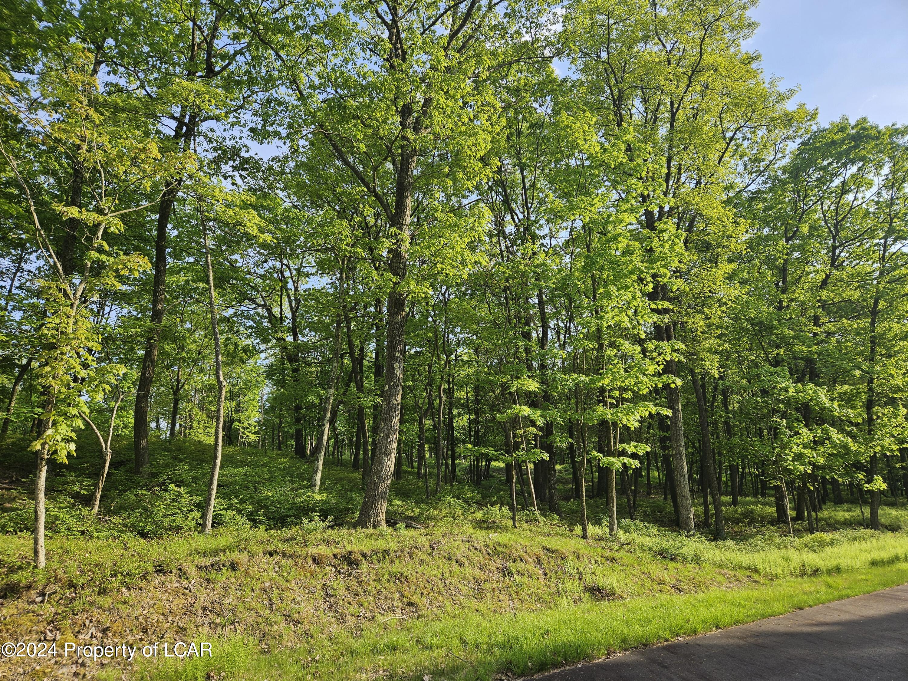 Timothy Drive, East Union Township, Pennsylvania image 4