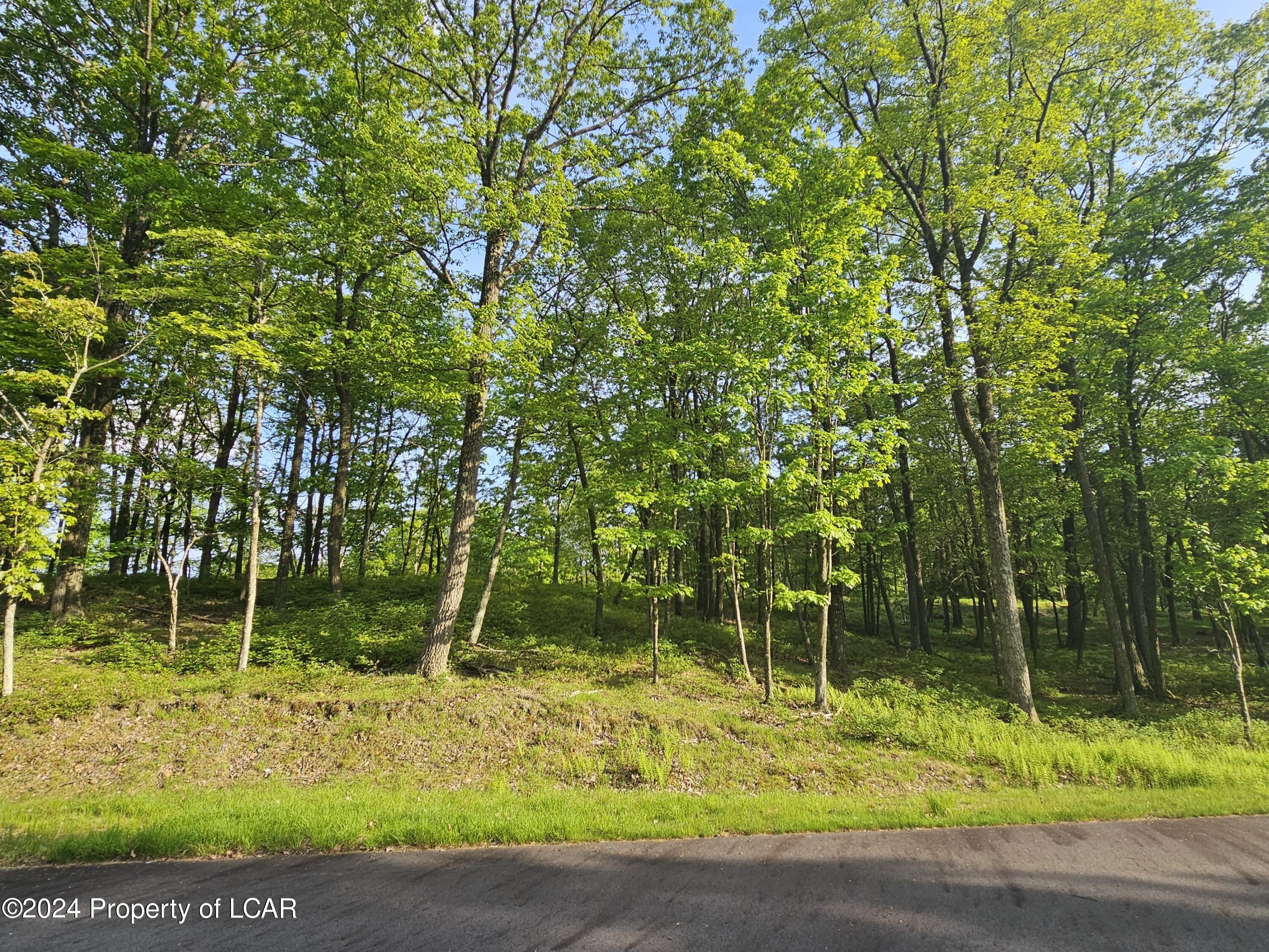 Timothy Drive, East Union Township, Pennsylvania image 3