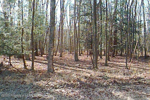 Vacant Land For Sale - Arapahoe Lane<br/> Schuylkill County, Hazleton, PA 18202