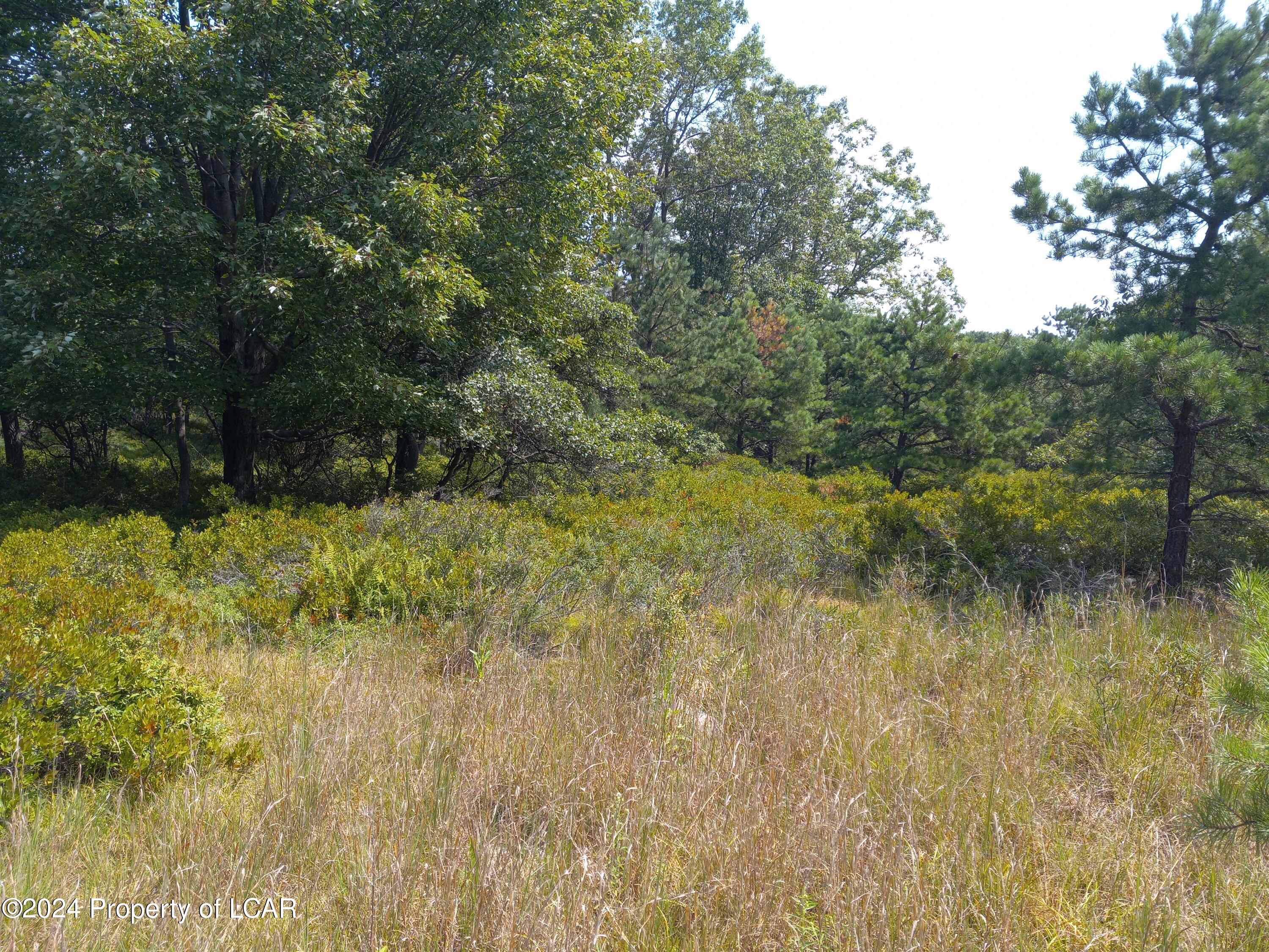 Muirfield Lane, Hazle Twp, Pennsylvania image 1