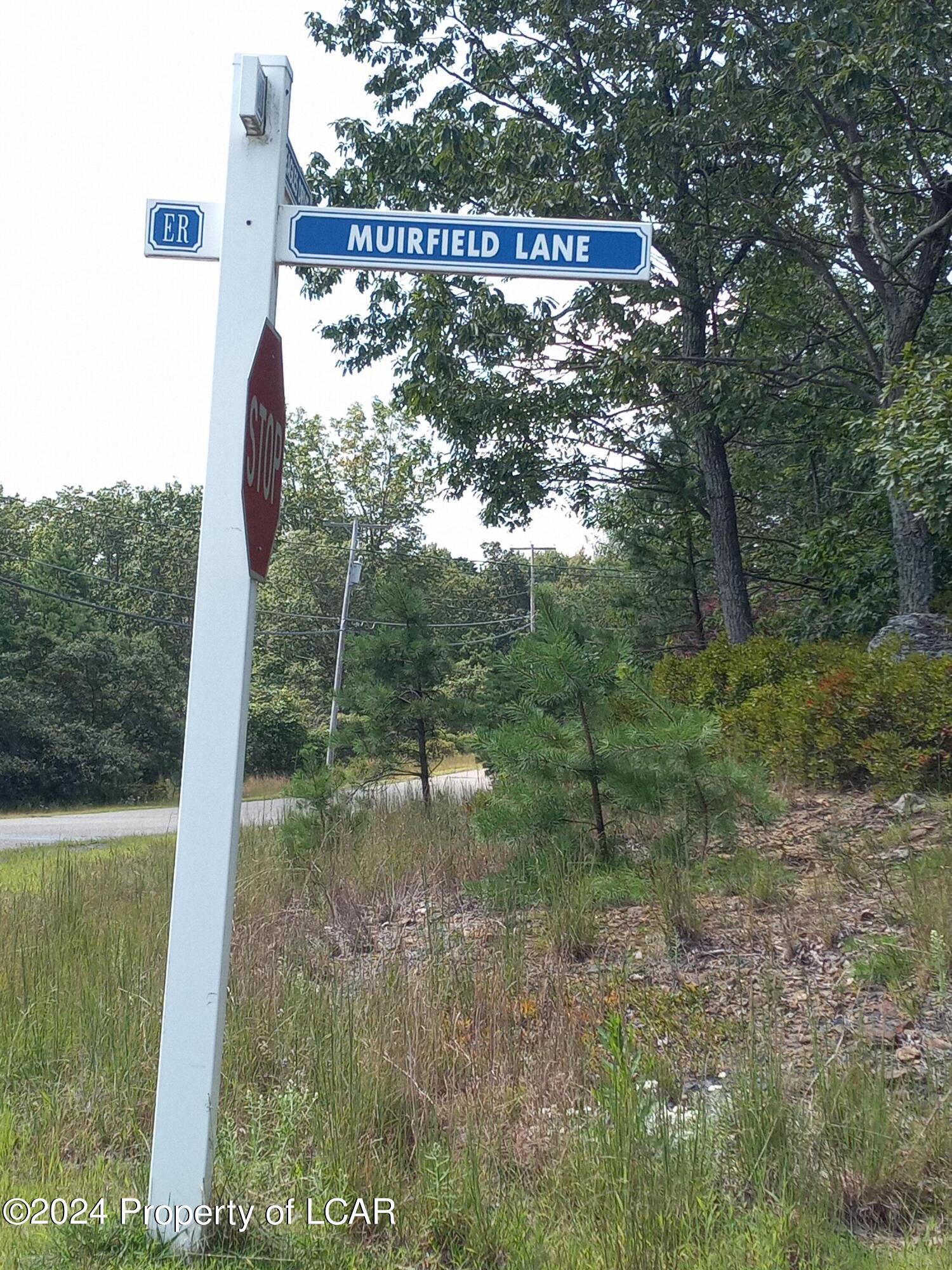 Muirfield Lane, Hazle Twp, Pennsylvania image 3