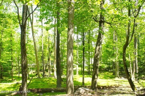 Vacant Land For Sale - Shingle Mill Drive<br/> Drums, PA 18222