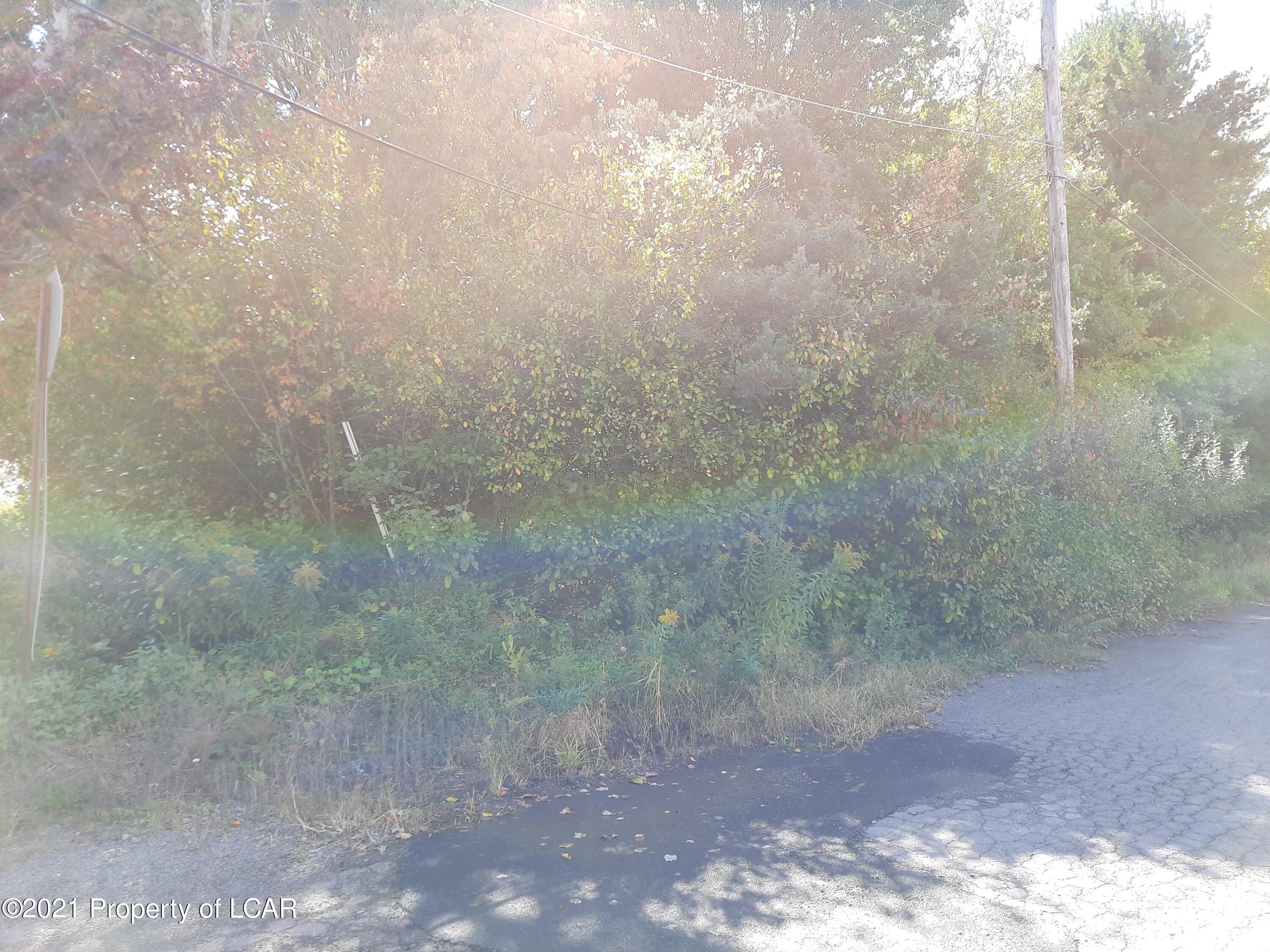 Sheaman Road, White Haven, Pennsylvania image 4