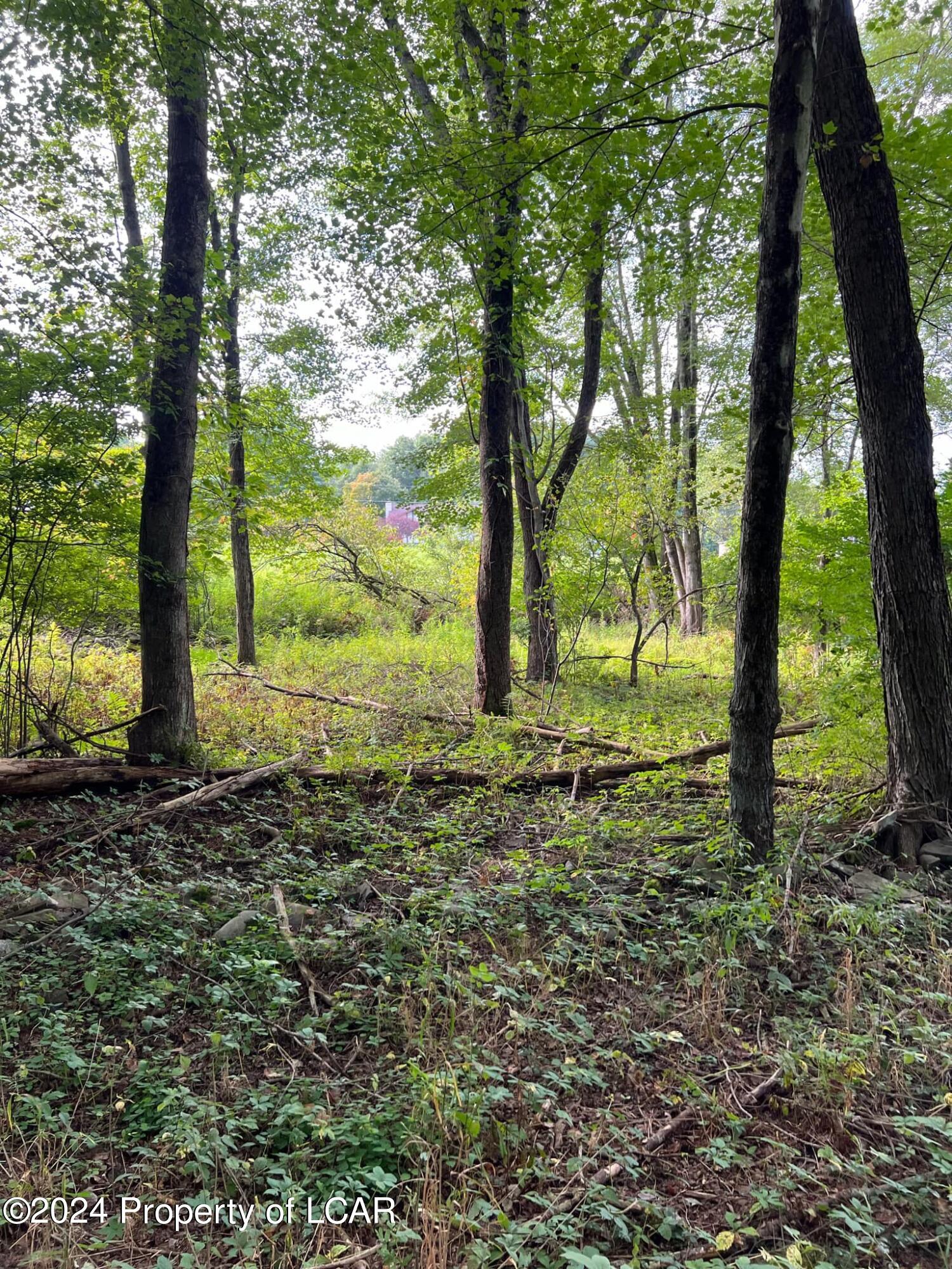 Shady Oak Lane, Mountain Top, Pennsylvania image 4