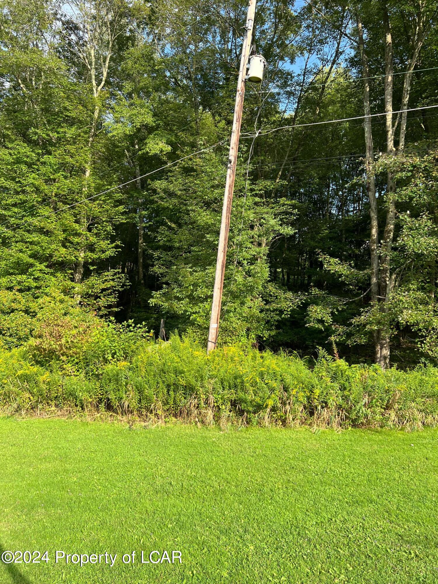 Shady Oak Lane, Mountain Top, Pennsylvania image 5