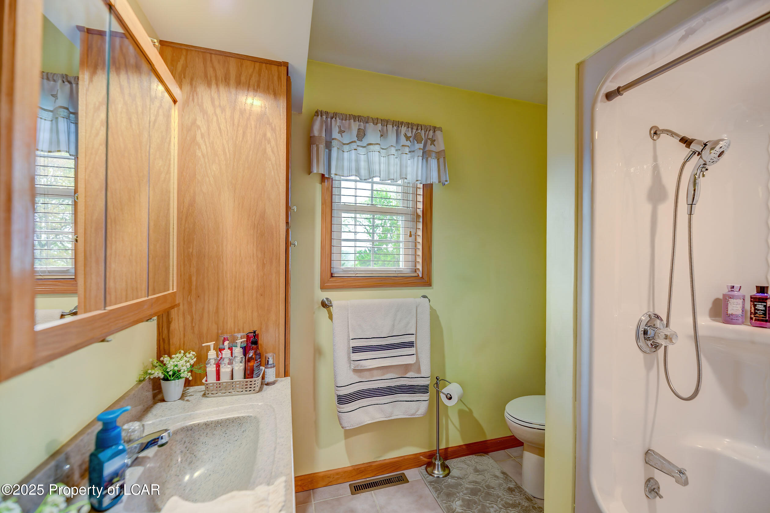 17 N Makara Drive, Drums, Texas image 20