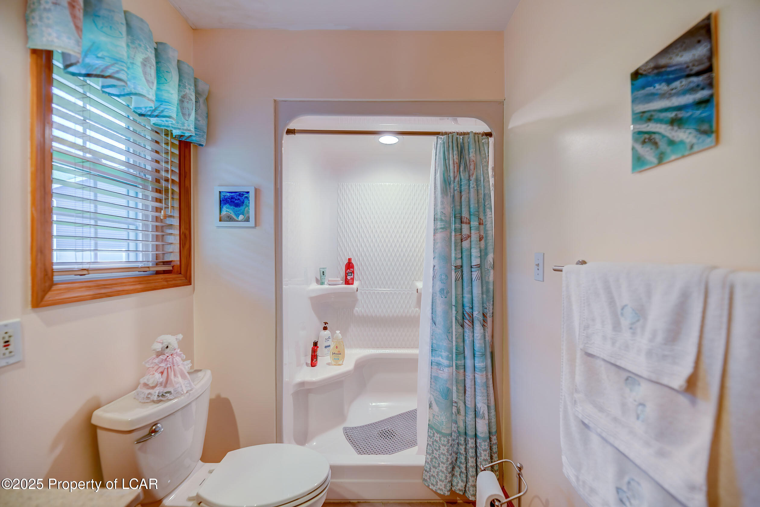 17 N Makara Drive, Drums, Texas image 44
