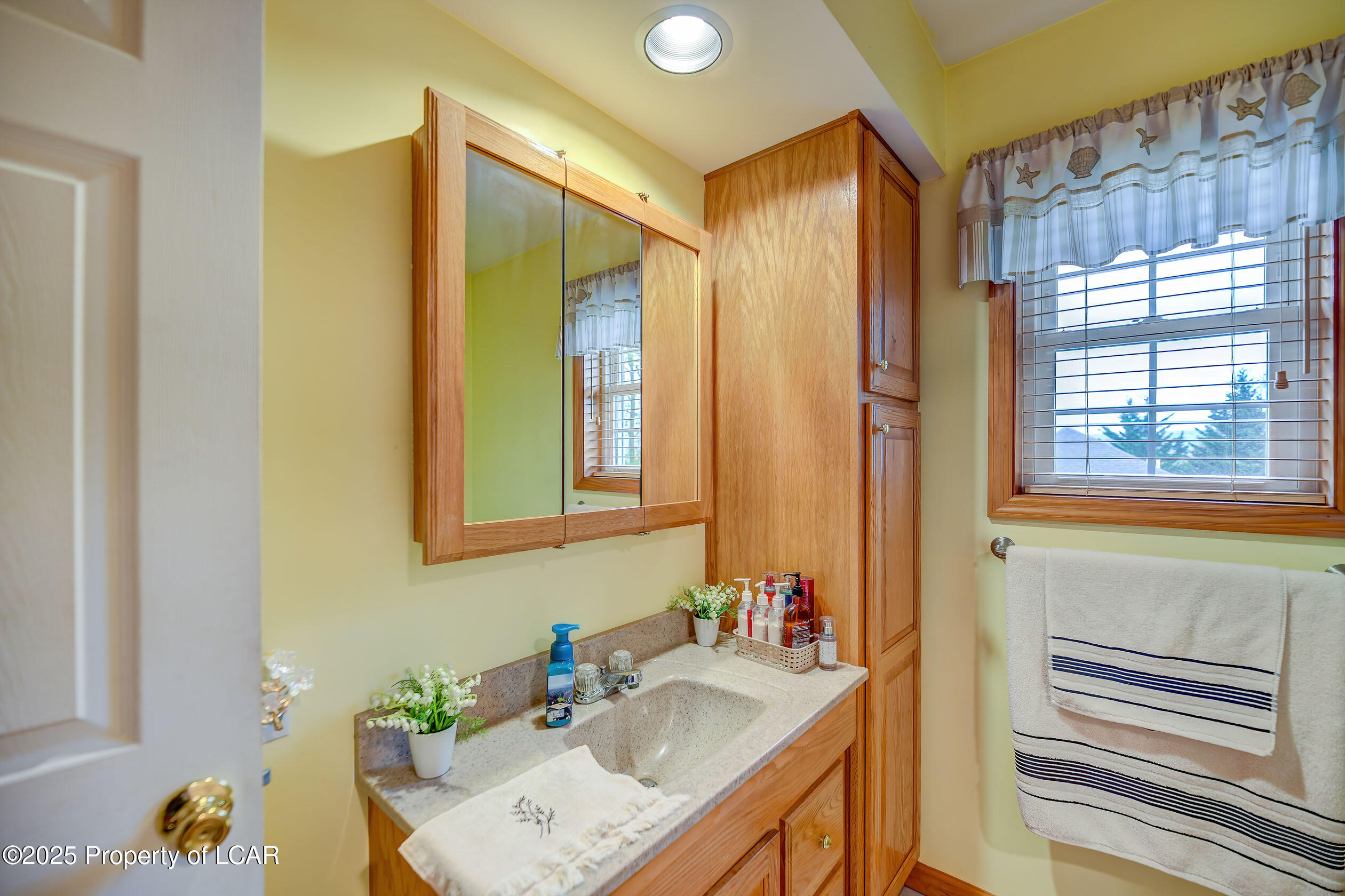 17 N Makara Drive, Drums, Texas image 19