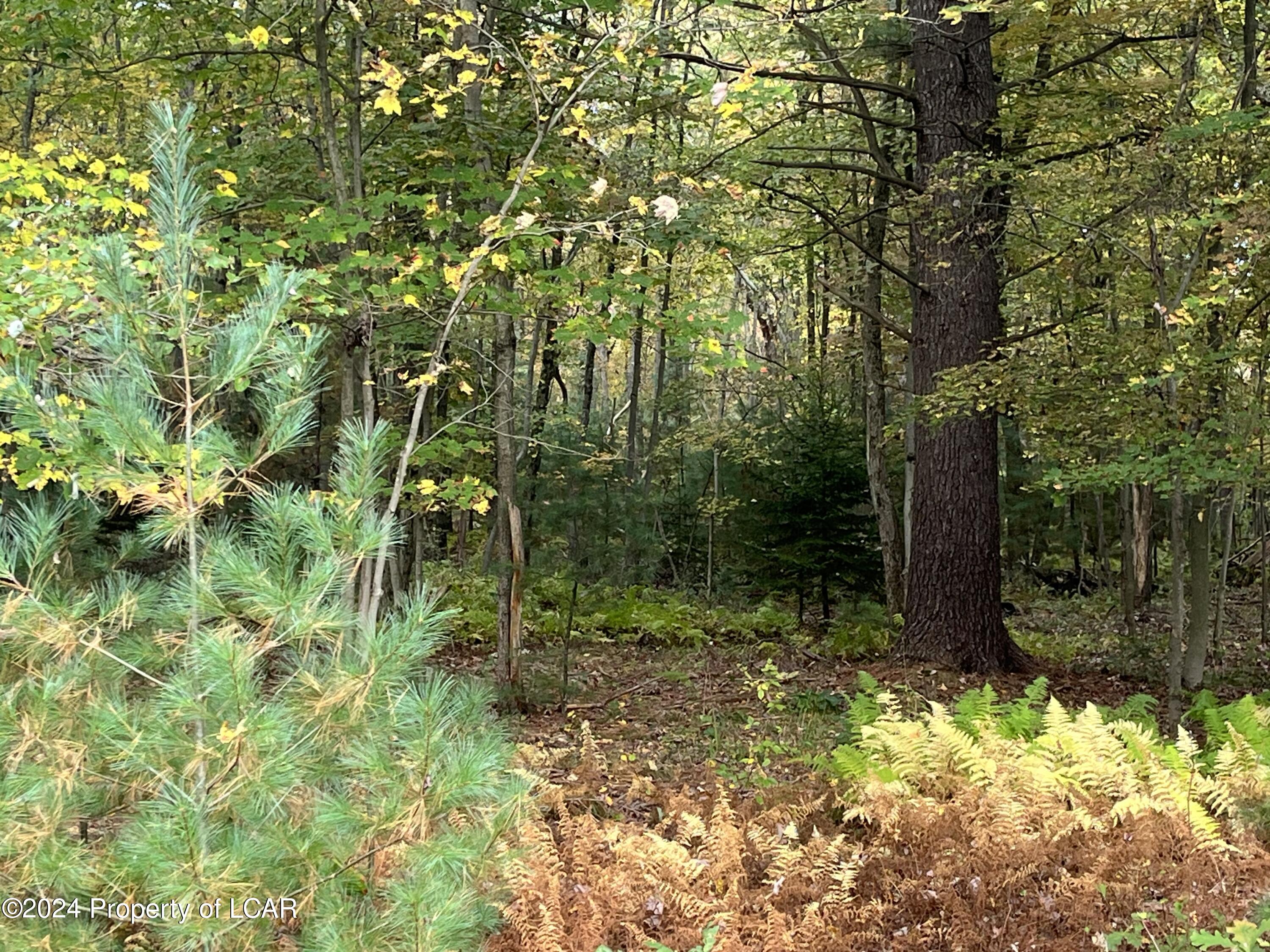 Lewin Lane, Bear Creek, Pennsylvania image 1