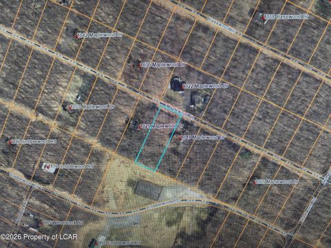 Vacant Land For Sale - Maplewood Drive<br/> Newfoundland, PA 18445