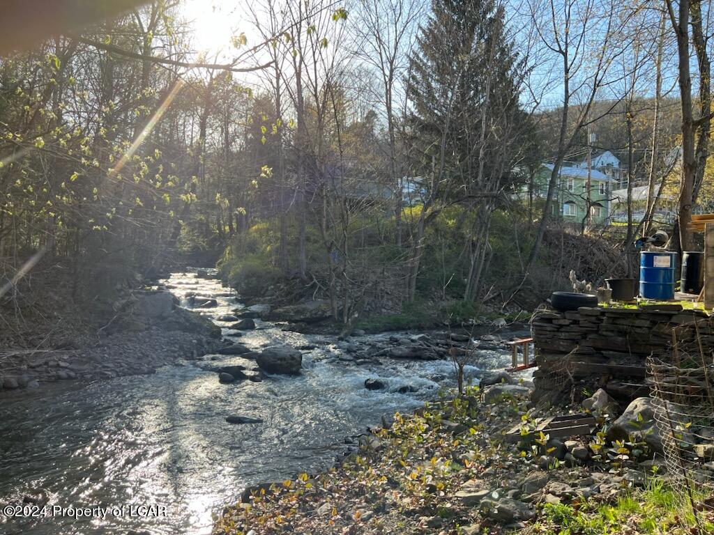 Creek Aly, Shickshinny, Idaho image 9