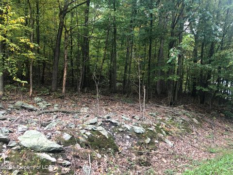 Vacant Land For Sale - Cindy Drive<br/> Luzerne County, Drums, PA 18222