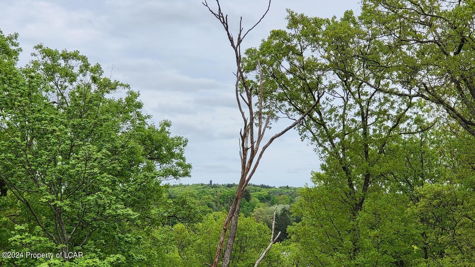 Forest Drive, Shavertown, Pennsylvania image 10