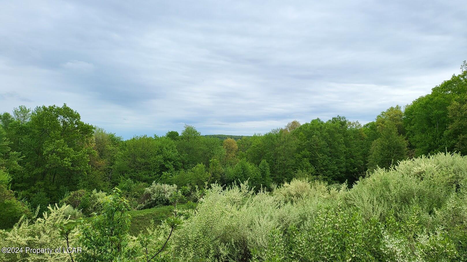 Forest Drive, Shavertown, Pennsylvania image 9