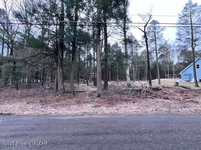Poplar Lane, Albrightsville, Texas image 1