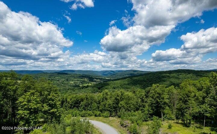 349 Scenicview Drive, Dallas, Pennsylvania image 9