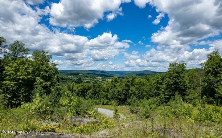 349 Scenicview Drive, Dallas, Pennsylvania image 8