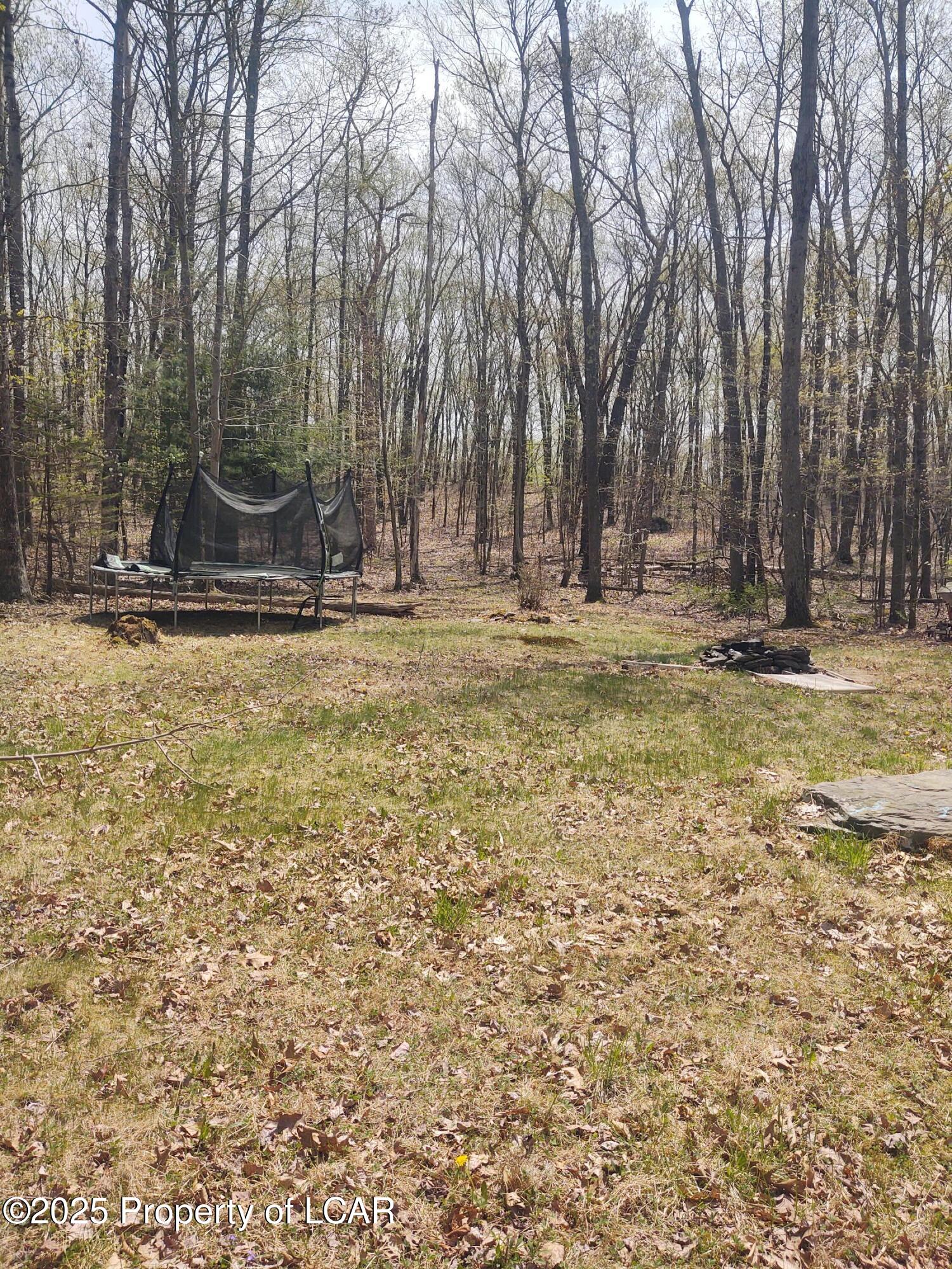 107 White Oak Drive, Hunlock Creek, Texas image 17