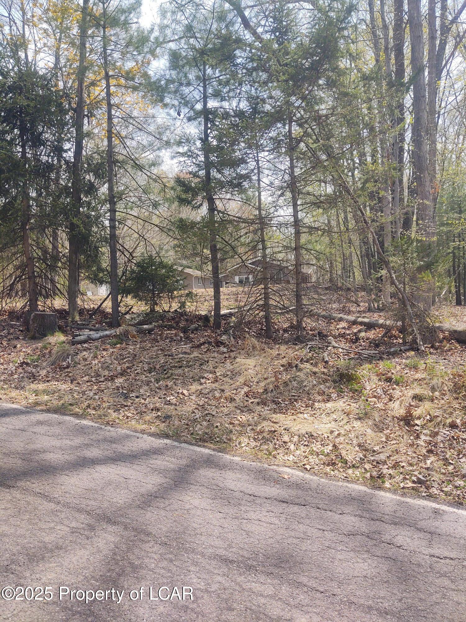 107 White Oak Drive, Hunlock Creek, Texas image 19