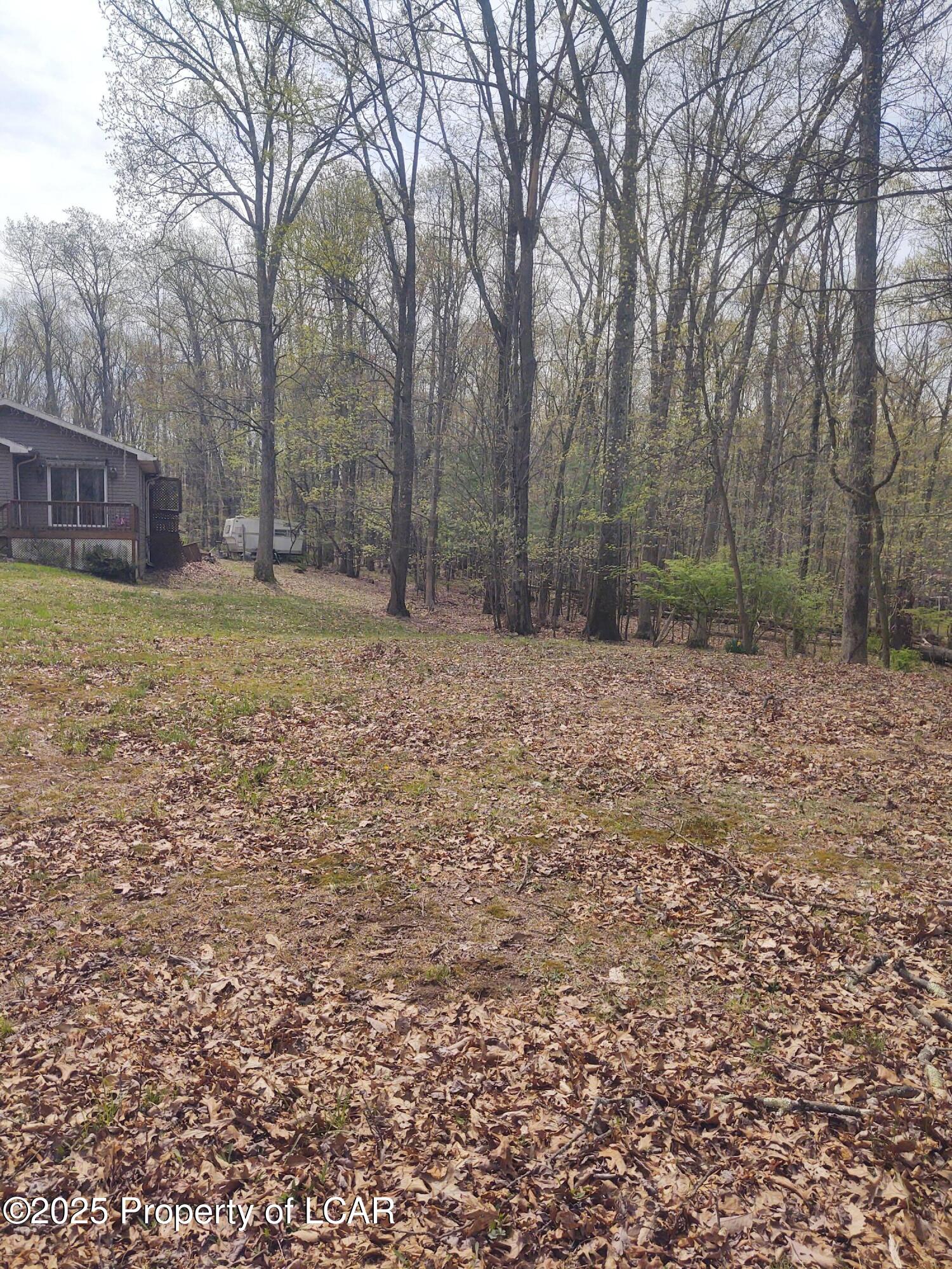 107 White Oak Drive, Hunlock Creek, Texas image 6