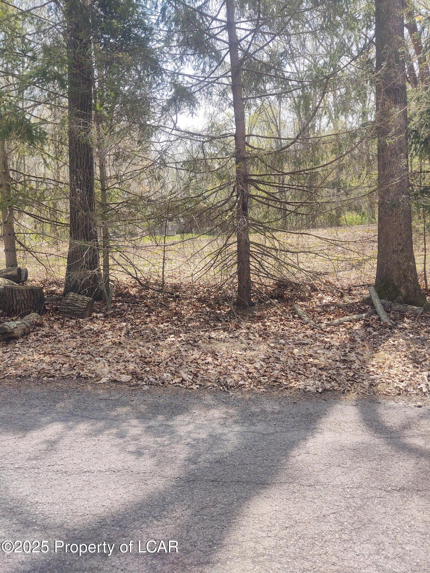 107 White Oak Drive, Hunlock Creek, Texas image 18