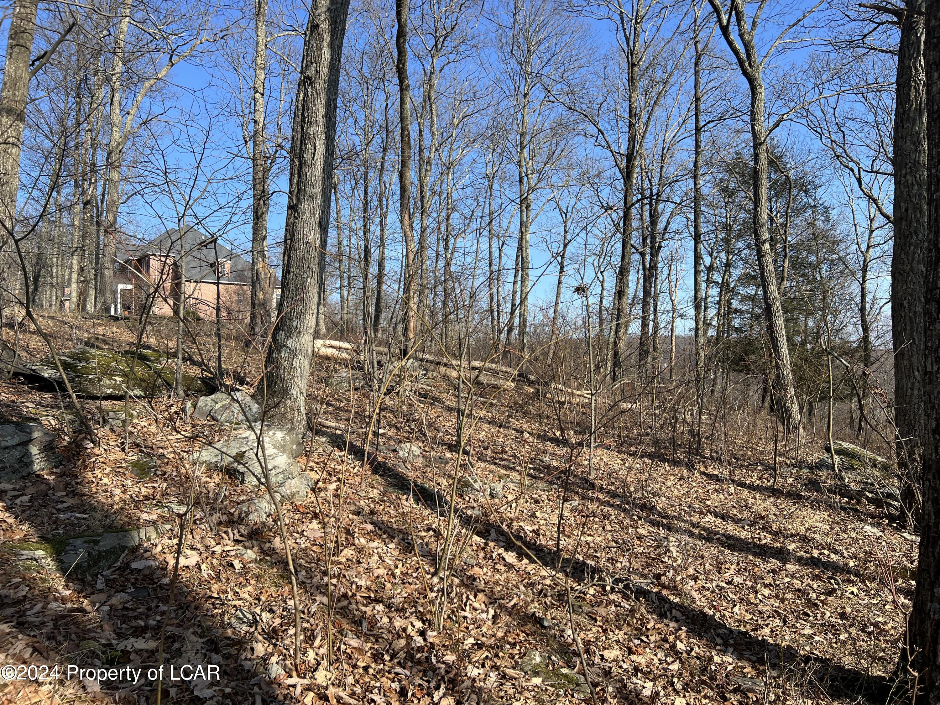 Scenicview Drive, Dallas, Pennsylvania image 10