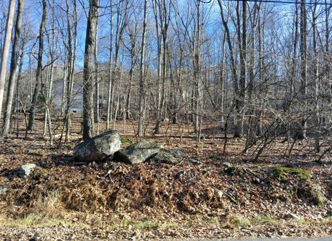 Vacant Land For Sale - Bear Run Drive<br/> Drums, PA 18222