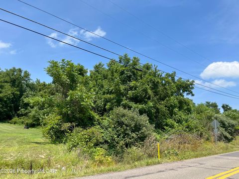 Vacant Land For Sale - Lake Road<br/> Berwick, PA 18603