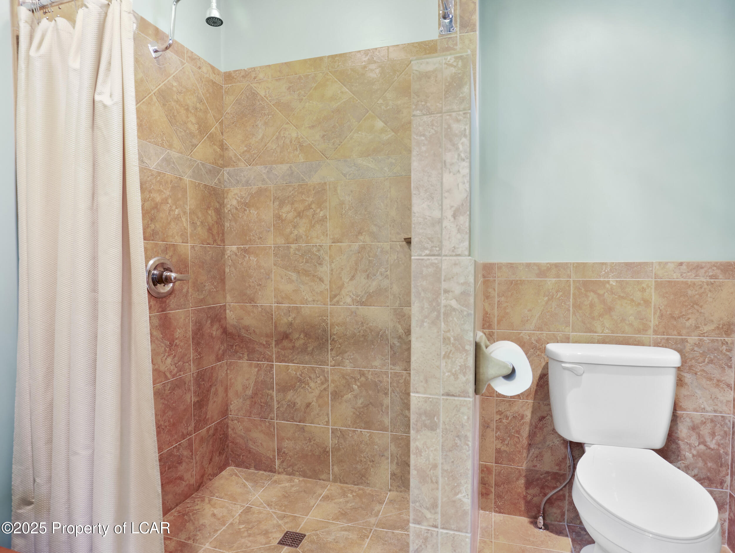 3046 Old Plank Road, Towanda, Texas image 22