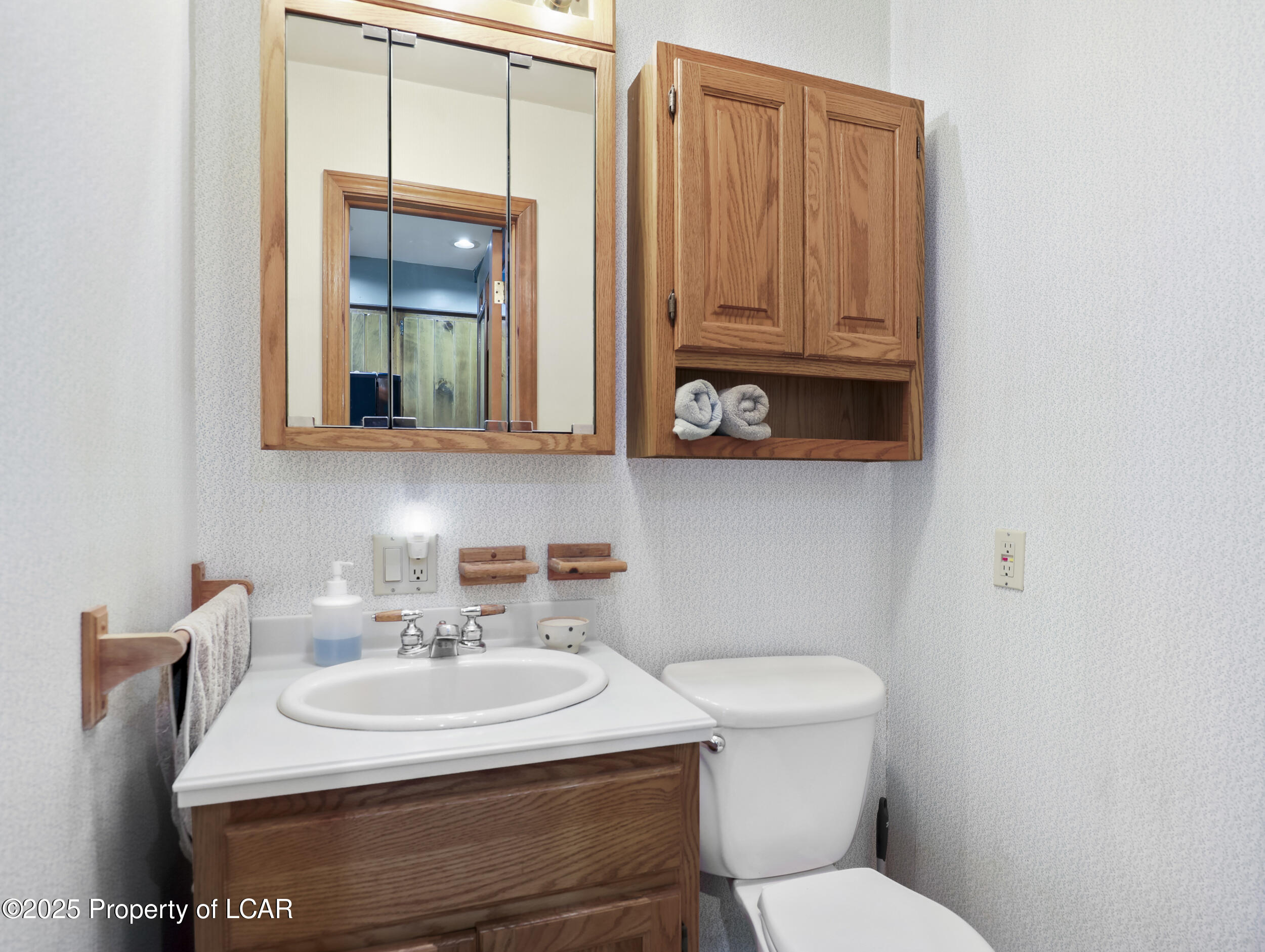 3046 Old Plank Road, Towanda, Texas image 16