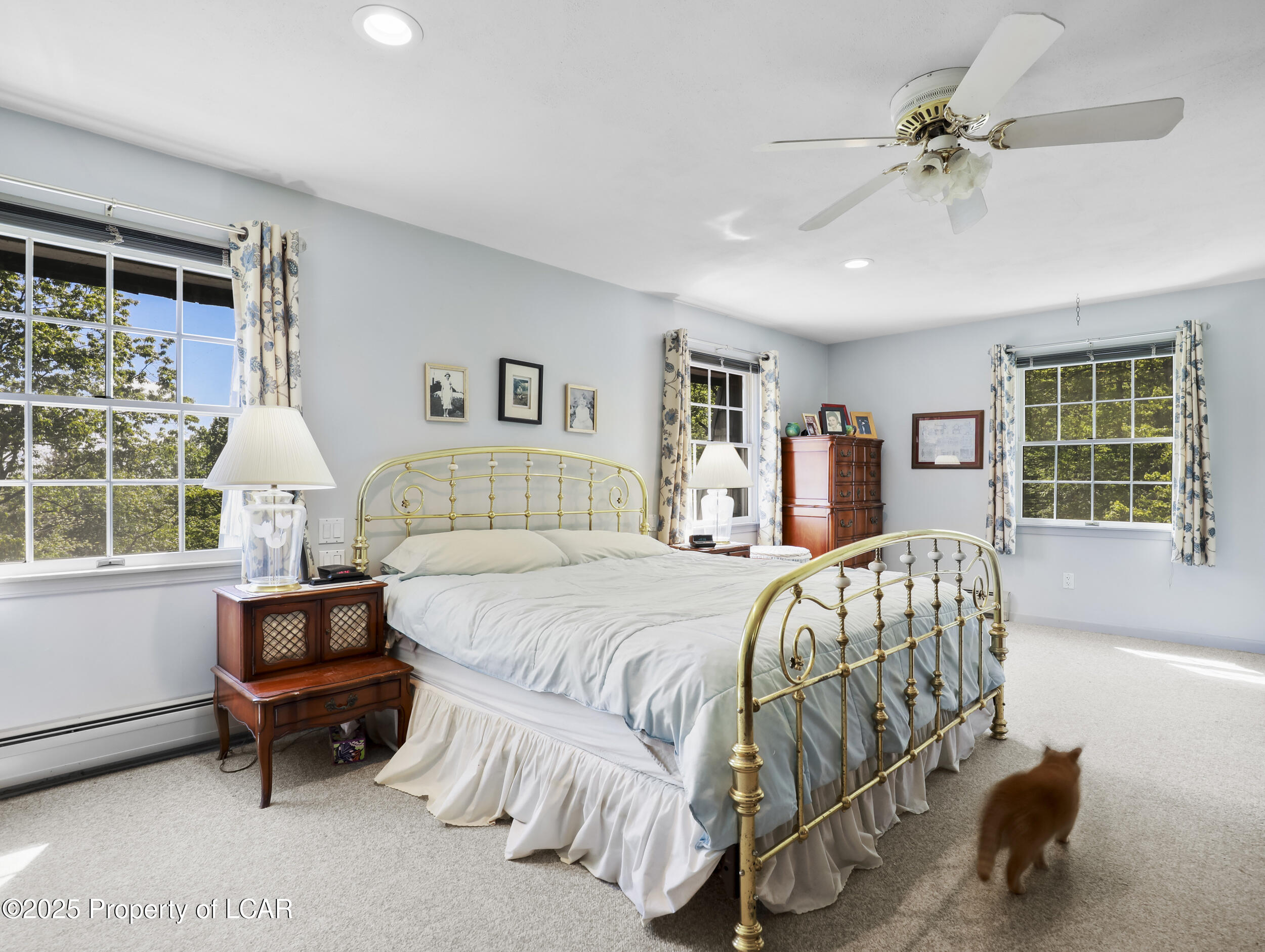 3046 Old Plank Road, Towanda, Texas image 32
