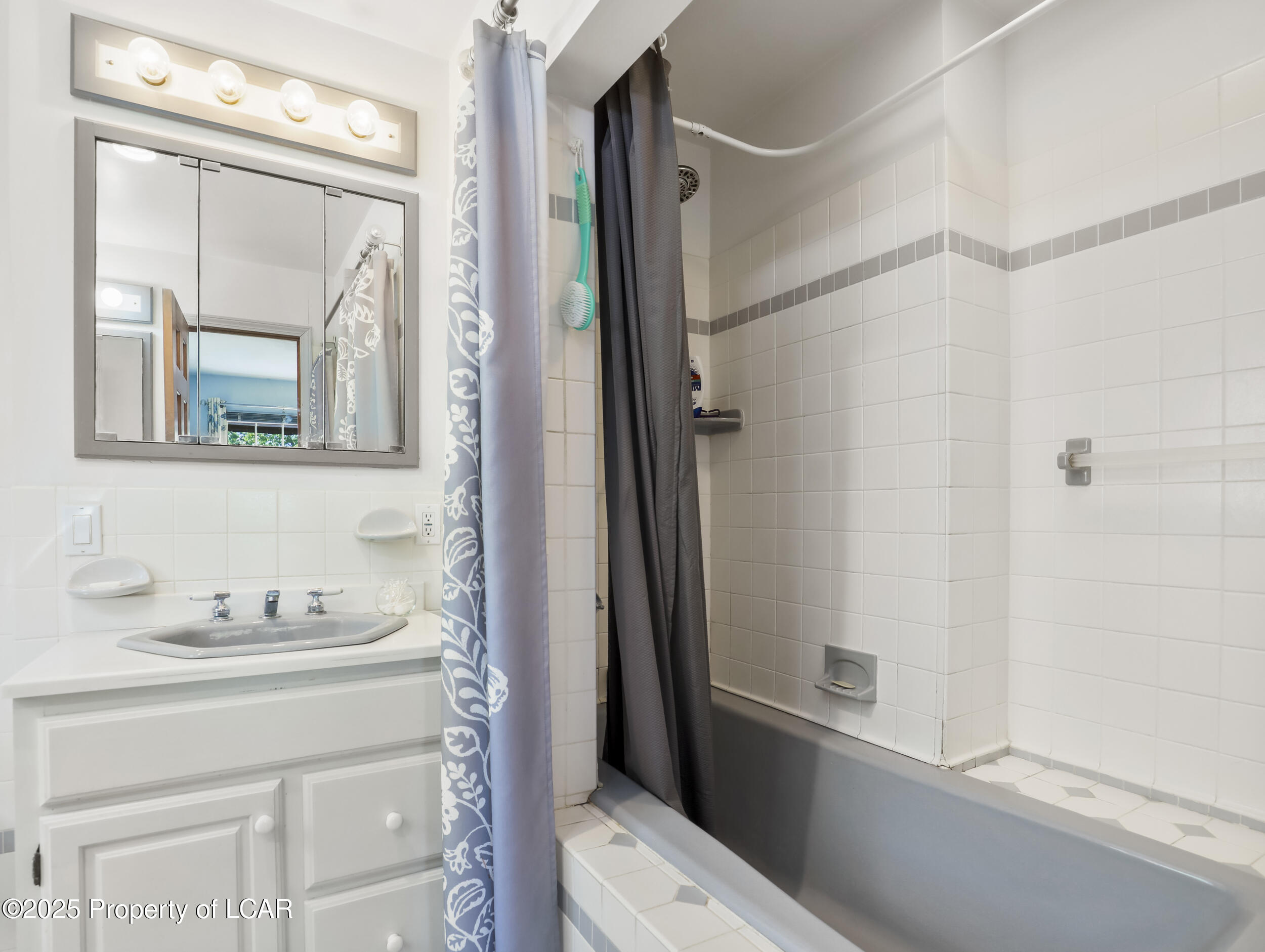 3046 Old Plank Road, Towanda, Texas image 36