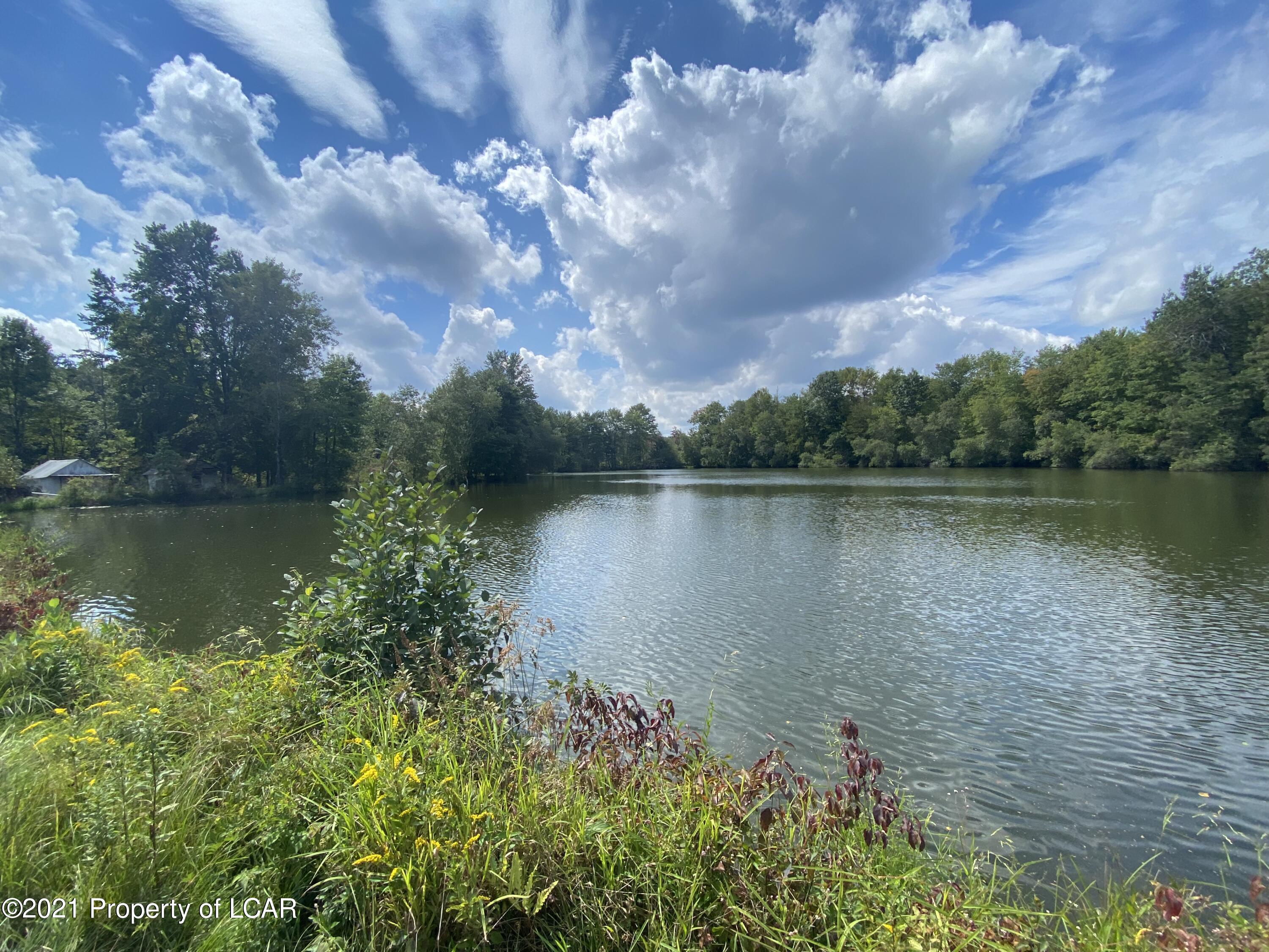 Sgarat Avenue, Harveys Lake, Pennsylvania image 8