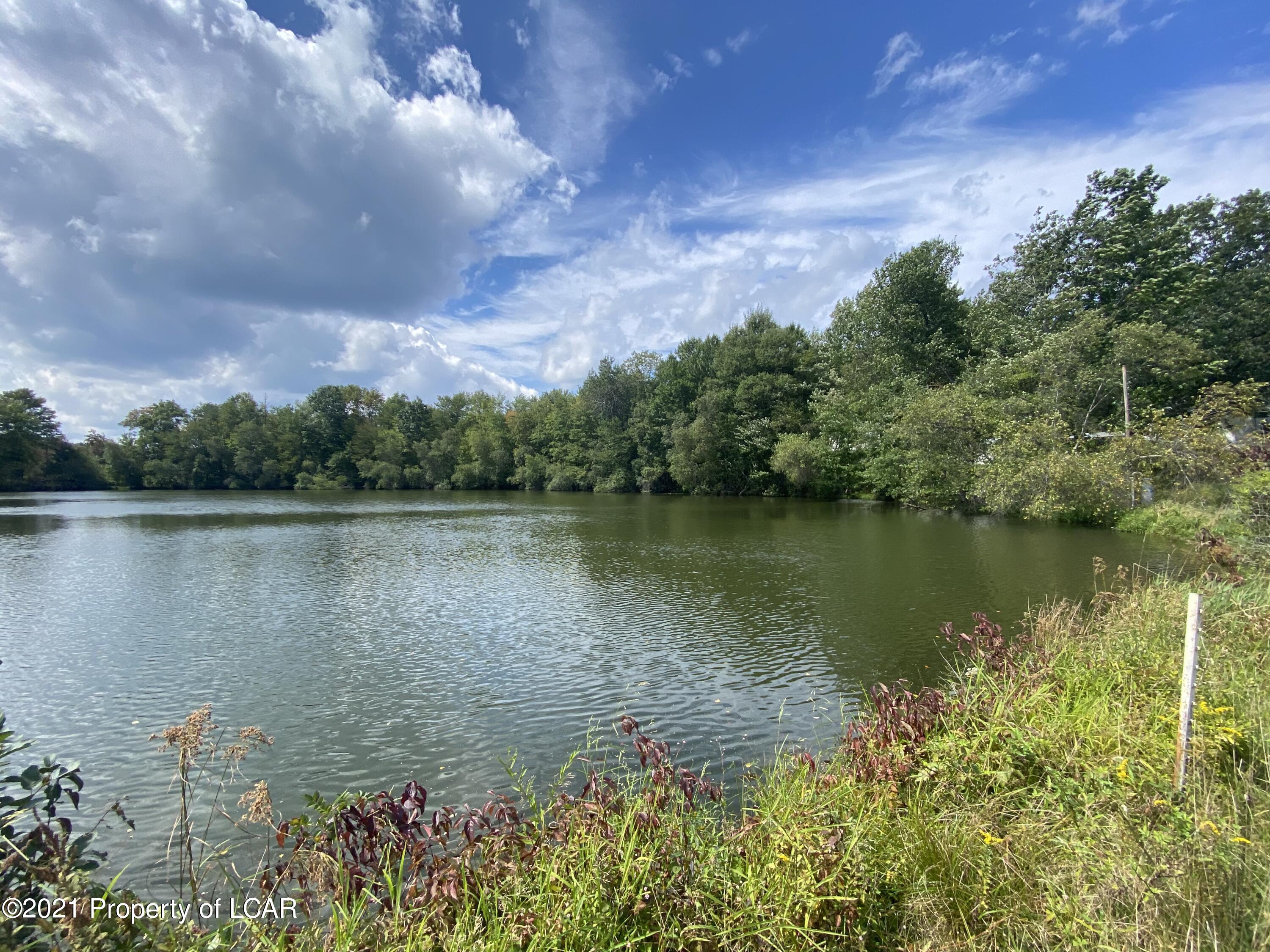 Sgarat Avenue, Harveys Lake, Pennsylvania image 9